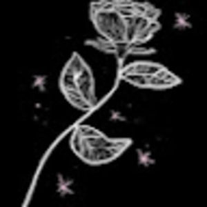 Meet your Posher, Tena1310